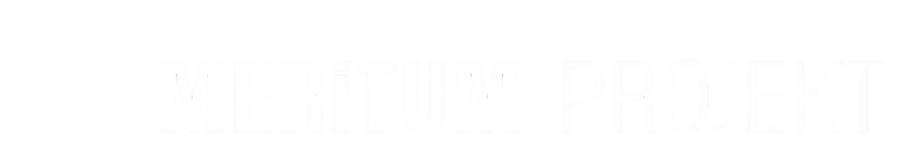 MERITUM PROJEKT Logo